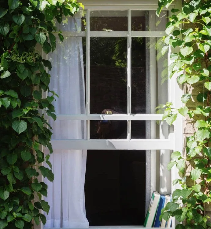 0055 – 2014 – Old Parsonage Hotel – Oxford – Low Res – Garden Window Greenery – Web Feature