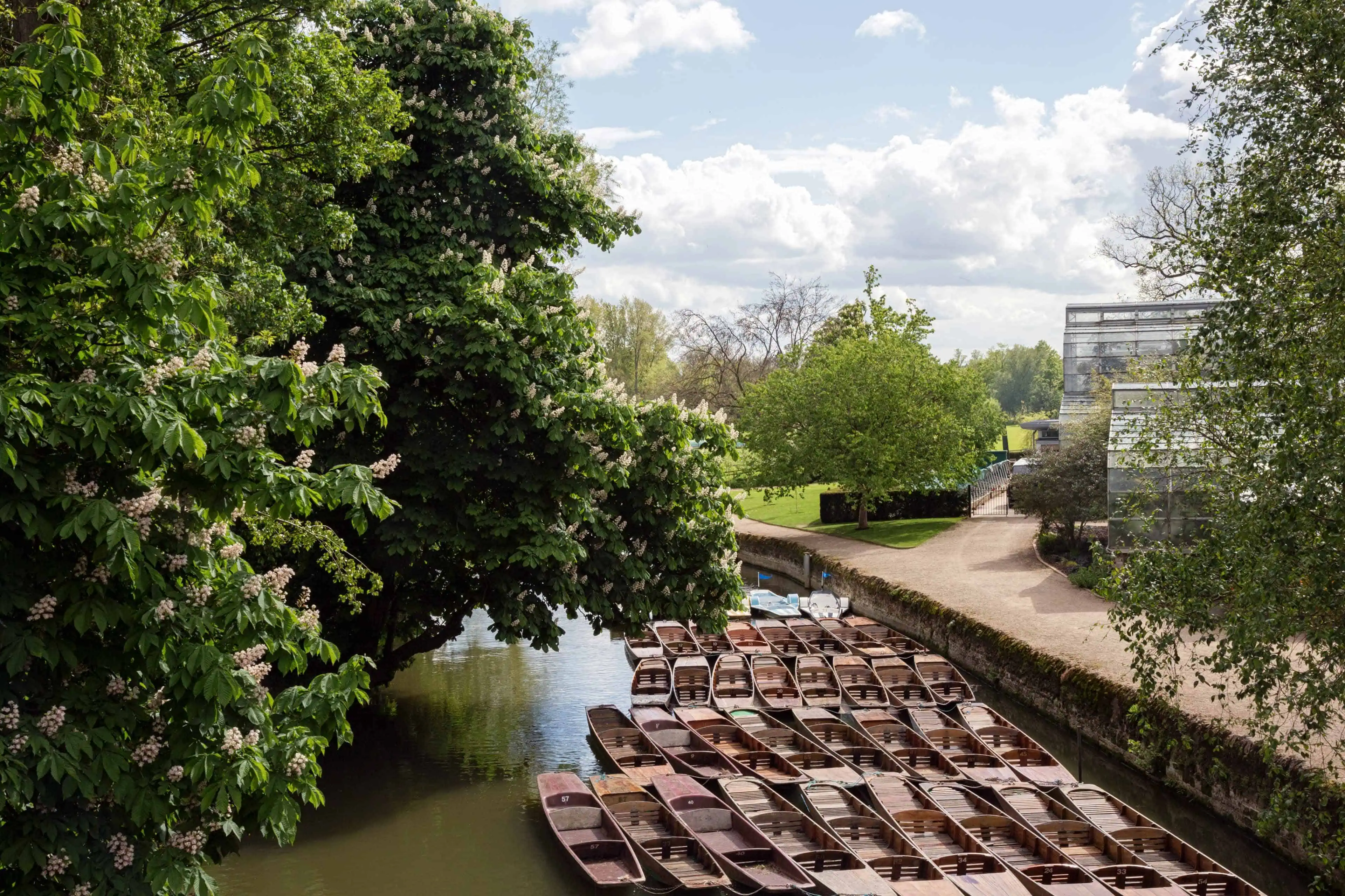 0003 - 2014 - Oxford City - Oxford - High res - Punting River Summer - Web Hero