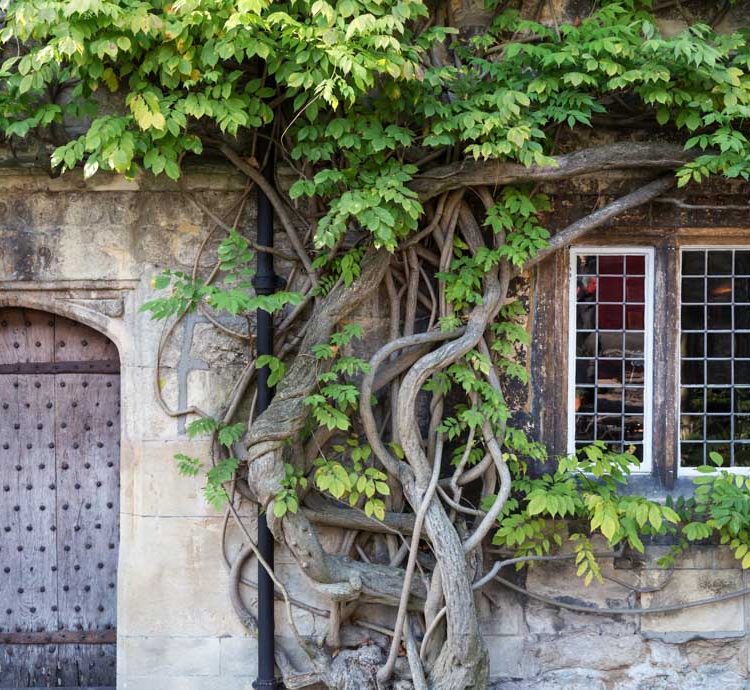 0039 - 2014 - Old Parsonage Hotel - Oxford - High Res - Wisteria Historic Building - Web Feature